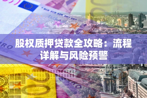 武汉股权质押贷款全攻略：流程详解与风险预警