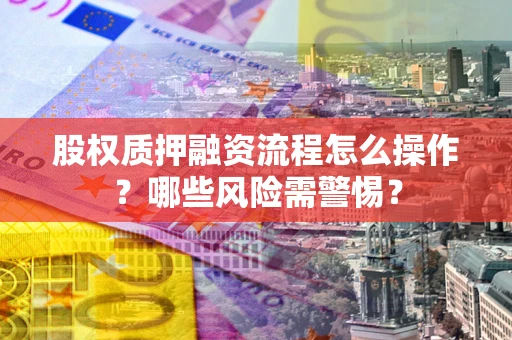 武汉股权质押融资流程怎么操作？哪些风险需警惕？