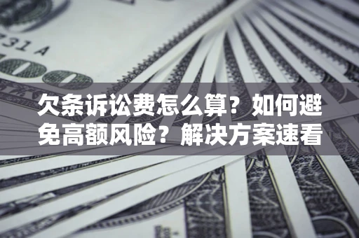 武汉欠条诉讼费怎么算？如何避免高额风险？解决方案速看！
