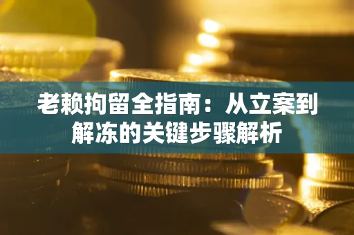 武汉老赖拘留全指南：从立案到解冻的关键步骤解析