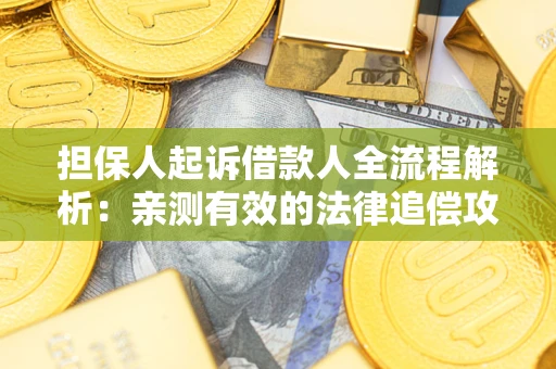 武汉担保人起诉借款人全流程解析：亲测有效的法律追偿攻略