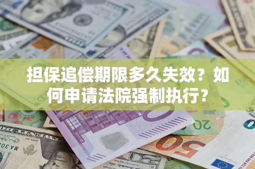 武汉担保追偿期限多久失效？如何申请法院强制执行？